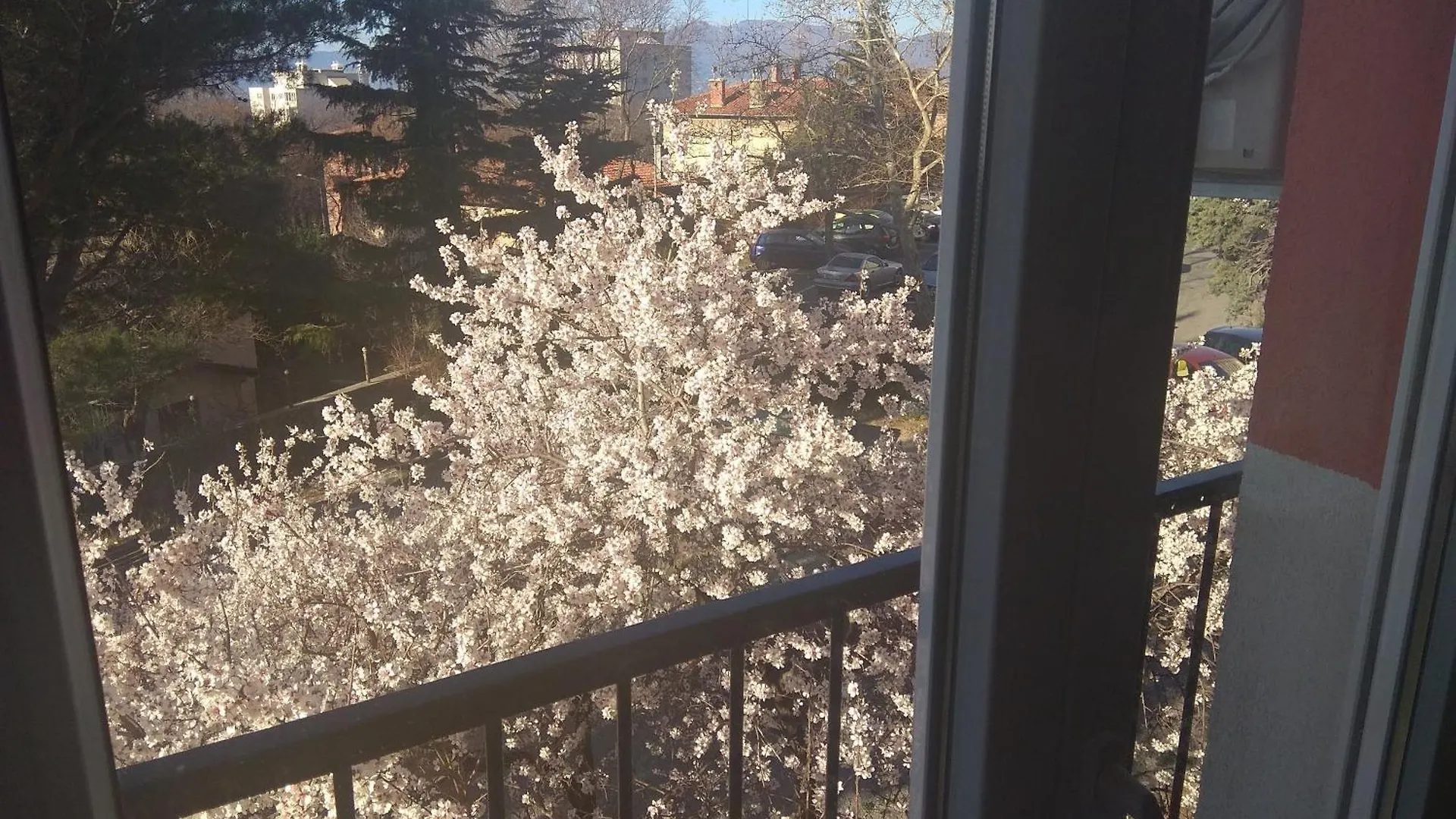 Apartment Hosty Place Rijeka